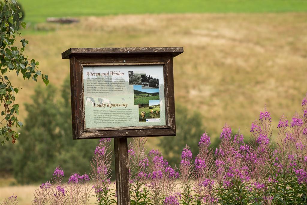 Erzgebirgsidyll Vila Breitenbrunn  Exterior foto